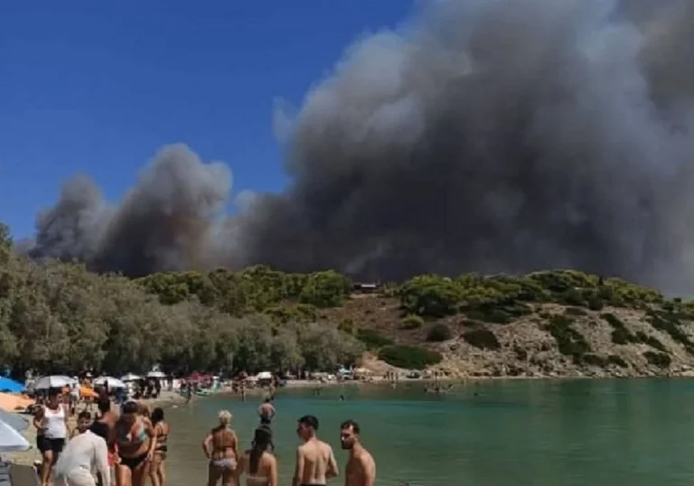 Φωτιά στη Σαλαμίνα: Μέσα σε επτά λεπτά οι φλόγες έφτασαν στα σπίτια – Στο μικροσκόπιο το οικόπεδο με τα σκουπίδια (Video)