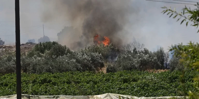 Φωτιά στον Σολομό Κορινθίας – Οι καπνοί έφτασαν στην Eθνική Κορίνθου-Τριπόλεως (video)