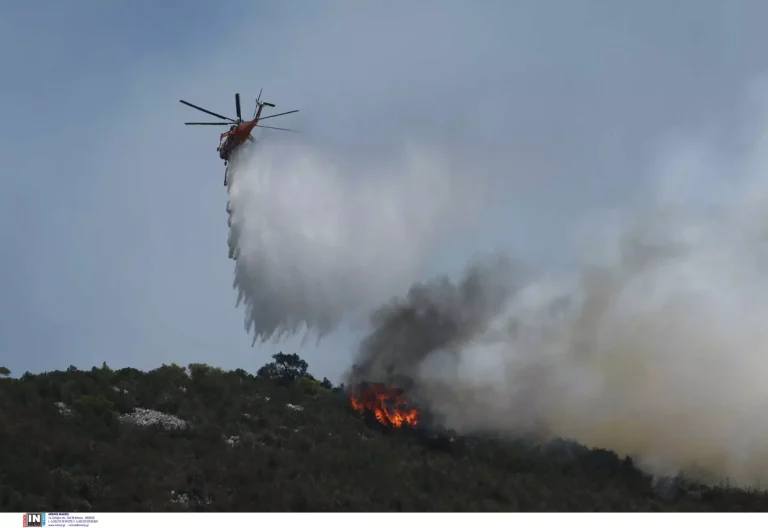 Νέα πύρινα μέτωπα σε Ηλεία και Κιλκίς – Στη μάχη και εναέρια