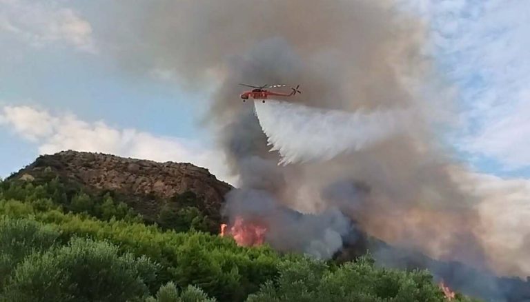 Μεγάλη φωτιά στο Μουζάκι Ηλείας – Μάχη να μην ξεφύγει το μέτωπο, 105 πυροσβέστες και 9 εναέρια μέσα