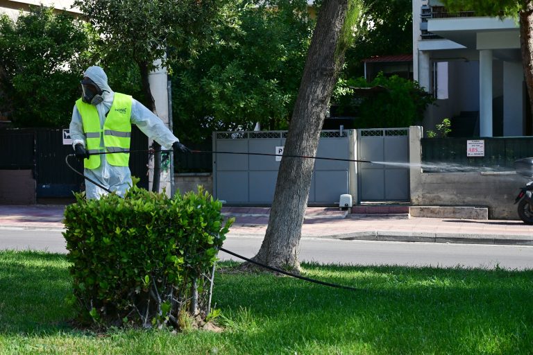 Ιός του Δυτικού Νείλου: Εντοπίστηκε κρούσμα στην Κηφισιά – Έκτακτοι ψεκασμοί στην περιοχή