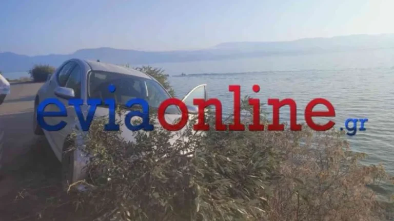 Σοβαρό τροχαίο στην Εύβοια: Αυτοκίνητο κατέληξε σε γκρεμό – Έπεσε από ύψος 15 μέτρων ο 22χρονος οδηγός