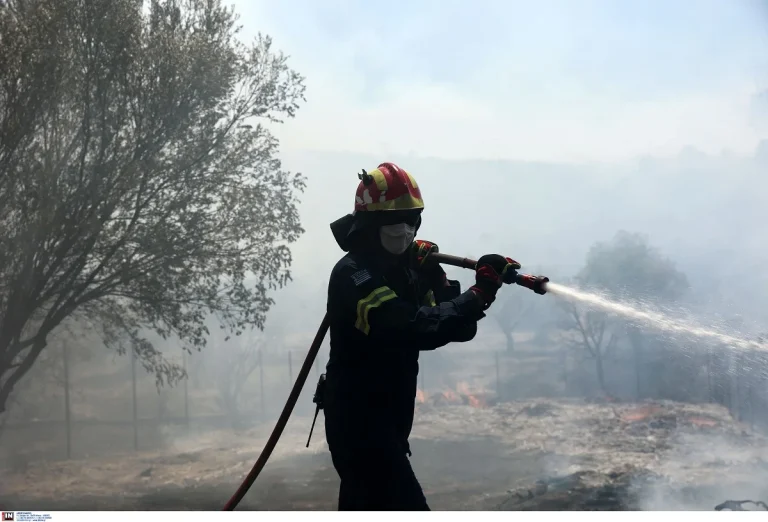 Φωτιές σε Λήμνο και Κάρυστο – Σε εξέλιξη οι επιχειρήσεις της Πυροσβεστικής