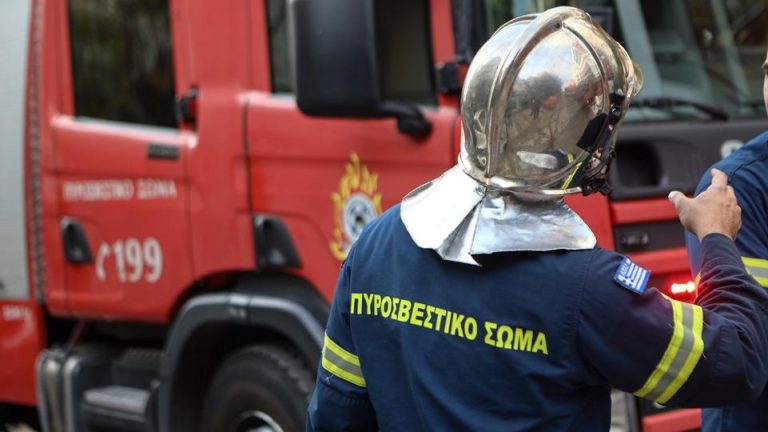 Τροιζήνα: Συνελήφθη 40χρονος για εμπρησμό – Εξετάζεται η εμπλοκή του σε εννέα ακόμη πυρκαγιές