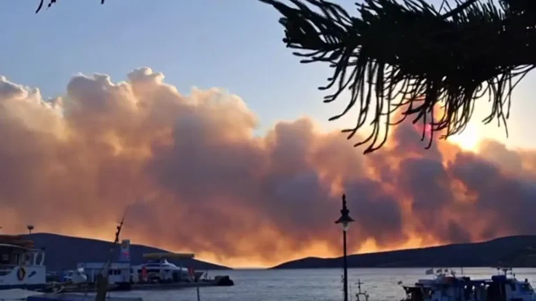 Μαίνεται η μεγάλη φωτιά στη Σκύρο – Ενισχυθήκαν οι πυροσβεστικές δυνάμεις τη νύχτα – Στη μάχη και τα εναέρια μέσα (video)