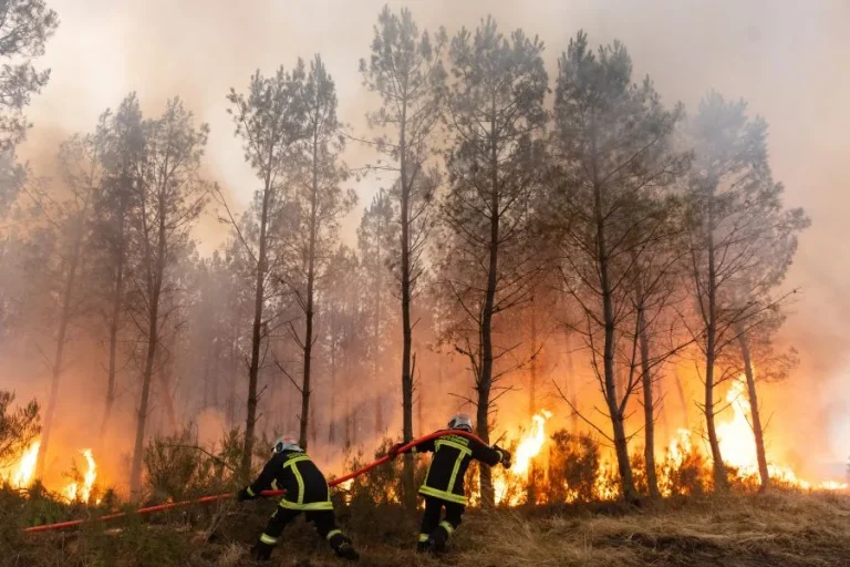Γαλλία: Έσβησε μετά από δύο μήνες η μεγάλη πυρκαγιά στη Ζιρόντ
