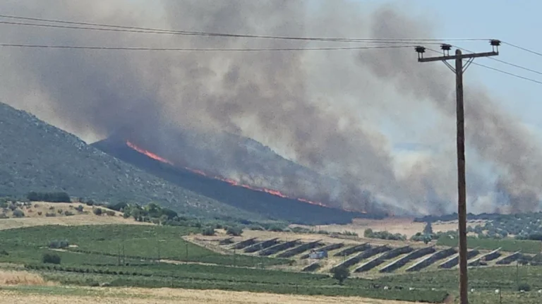 Πύρινος συναγερμός σε Εύβοια, Βοιωτία και Αττική – Μάχη με τις φλόγες σε Κάρυστο, Θήβα και Παιανία