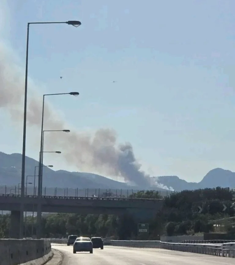 Μεγάλη κινητοποίηση για τη φωτιά στο Κανδήλι Μεγάρων – Έξι εναέρια μέσα στη μάχη (Video)