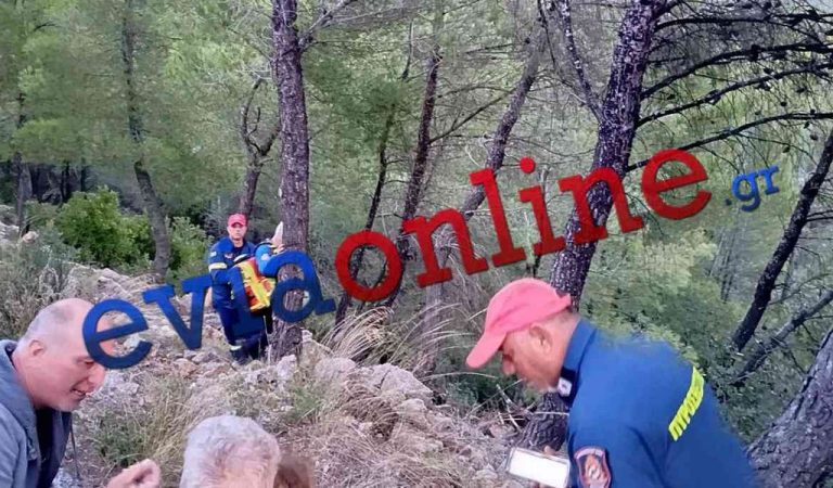 Είχαν Άγιο! Αυτοκίνητο έπεσε σε γκρεμό 30 μέτρων στην Εύβοια – Απεγκλωβίστηκαν γιαγιά και μωρό 19 μηνών